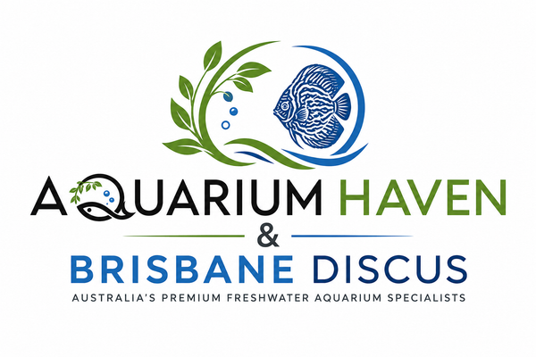 Aquarium Haven & Brisbane Discus