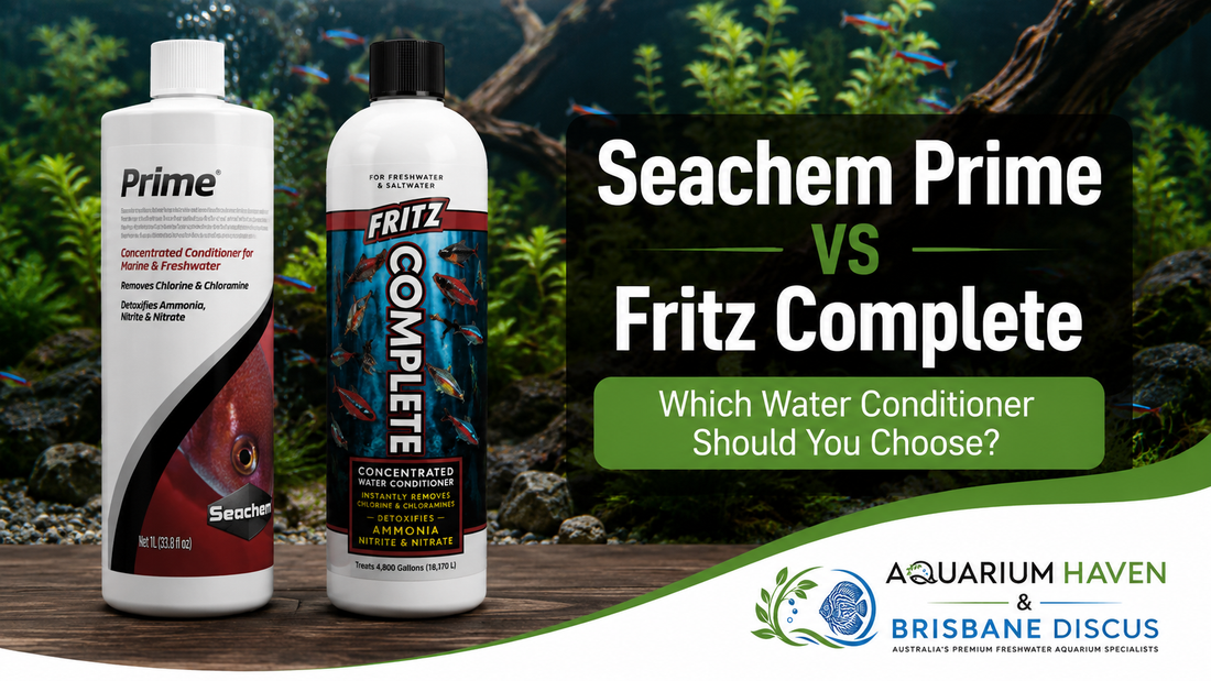 Seachem Prime vs Fritz Complete: Which Water Conditioner Should You Choose?