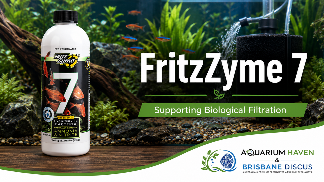 FritzZyme 7: Benefits, Uses & How It Works in Freshwater Aquariums