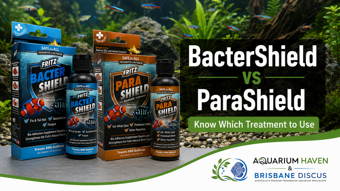 Fritz BacterShield vs ParaShield: Which Treatment Should You Use?