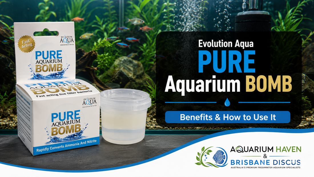 Evolution Aqua PURE Aquarium BOMB: Benefits & How to Use It