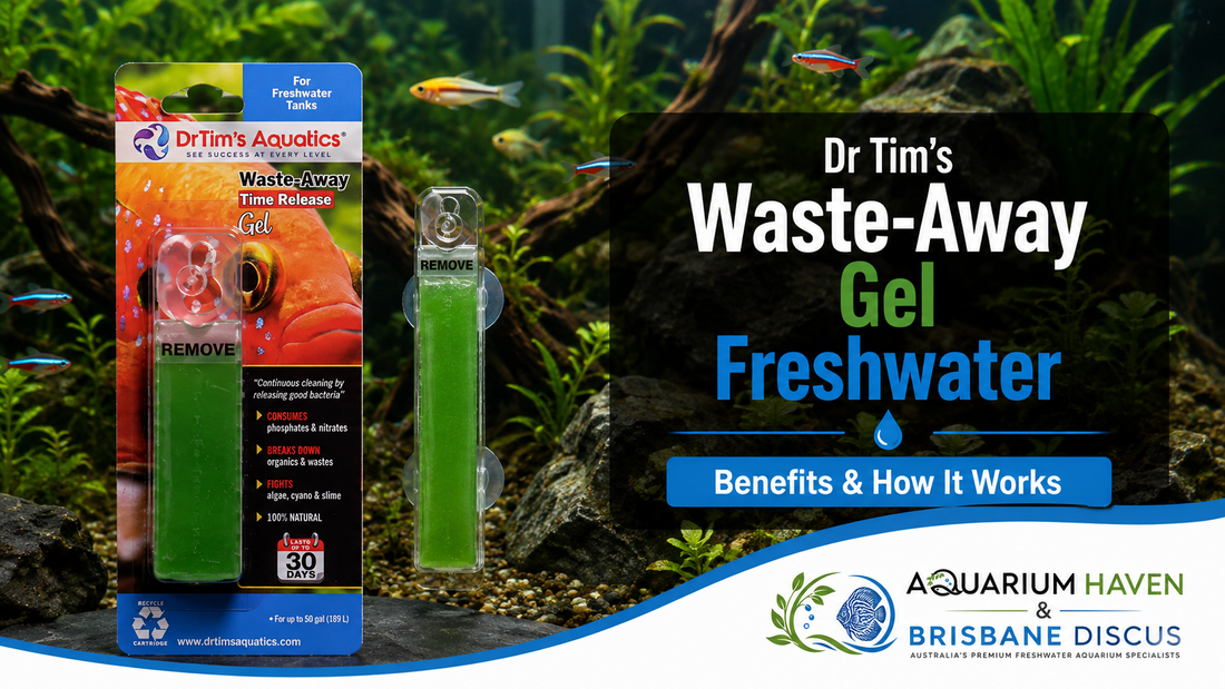 Dr Tim’s Waste-Away Gel Freshwater: Benefits & How It Works