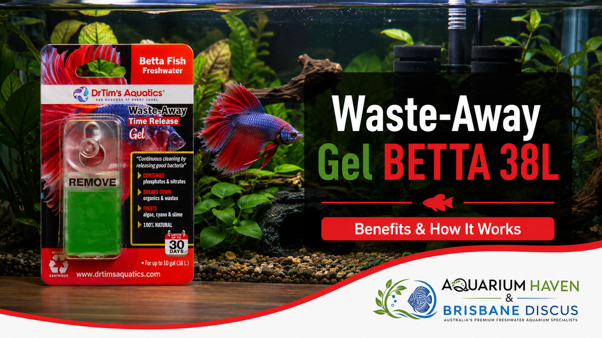 Dr Tim’s Waste-Away Gel BETTA 38L: Benefits & How It Works