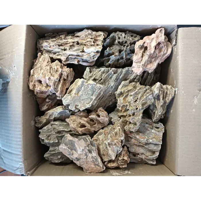 AP Naturals Dragon Stone 1kg