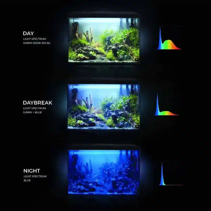 Aquael Leddy 40 Day & Night Aquarium Set