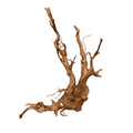 DMYAX Tweety Wood Extra Large