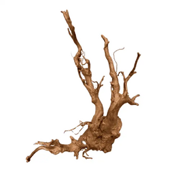 DMYAX Tweety Wood Extra Large