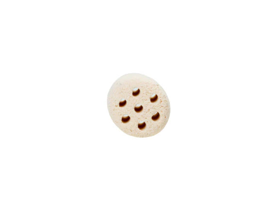 Lotus Root Nitro Ring II Freshwater 1kg Box