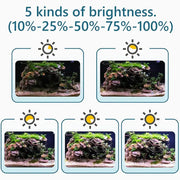 Hygger Clip On Planted Aquarium Lights