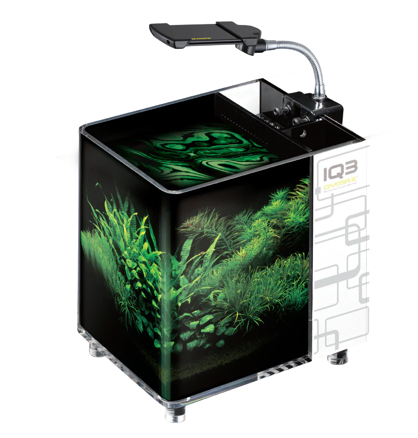 DYMAX IQ3 Mini Acrylic Aquarium
