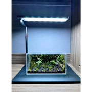 LEDSTAR WRGB Nano Smart Light (Dark Grey)