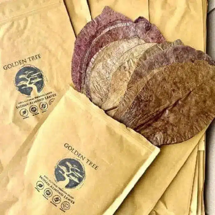 Golden Tree - Premium Indian Almond Leaves