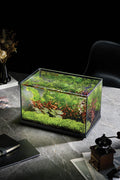 Scaper Forma Aquarium 27L (406*256*262mm)