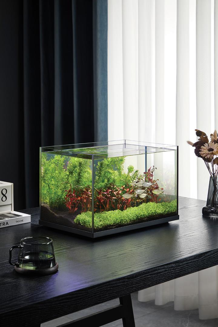 Scaper Vista Aquarium 48L (506*306*312mm)